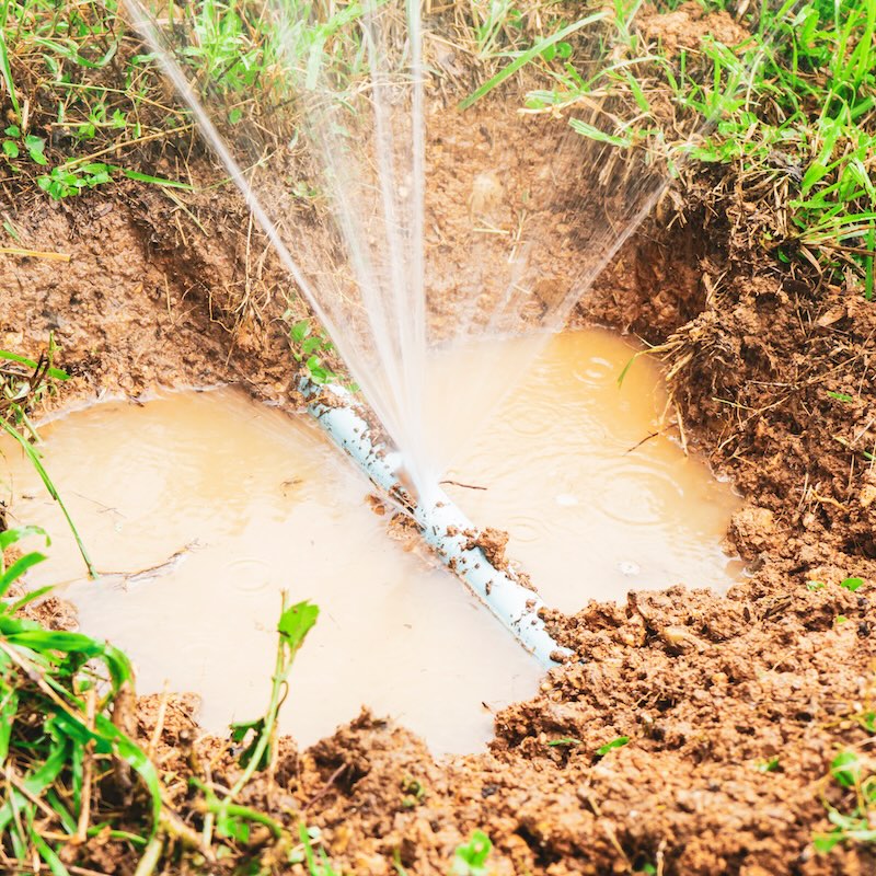 About the initiative<br />
