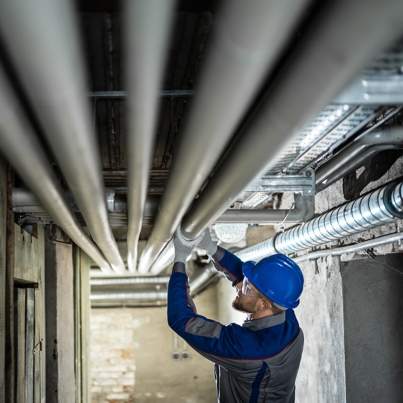 The project timeline